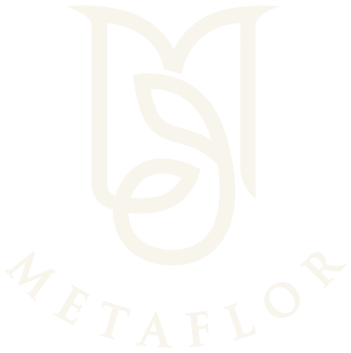 Metaflor